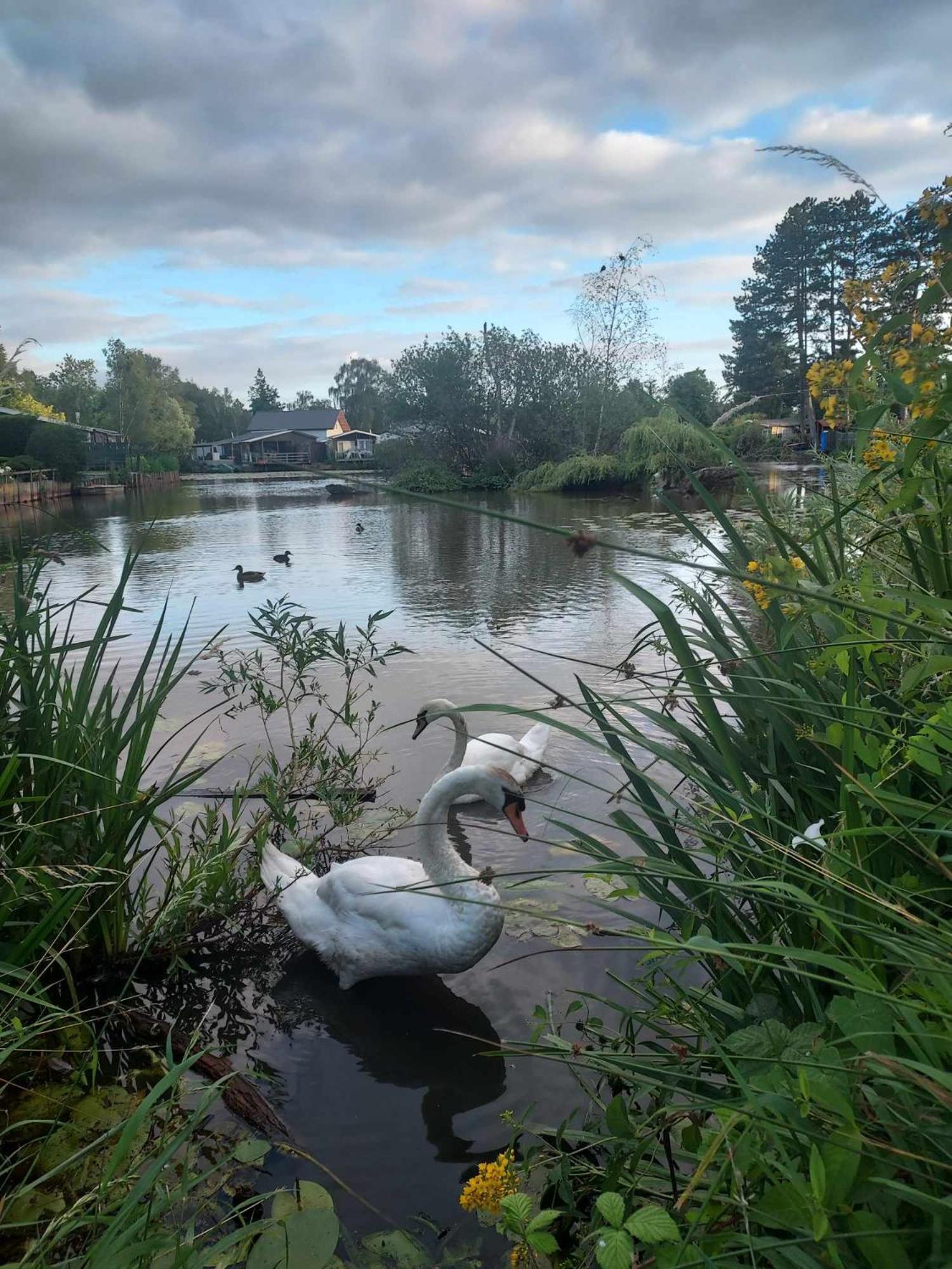 Rustig Gelegen Chalet Kapeki Met Tuin Aan Het Water Geel Zewnętrze zdjęcie