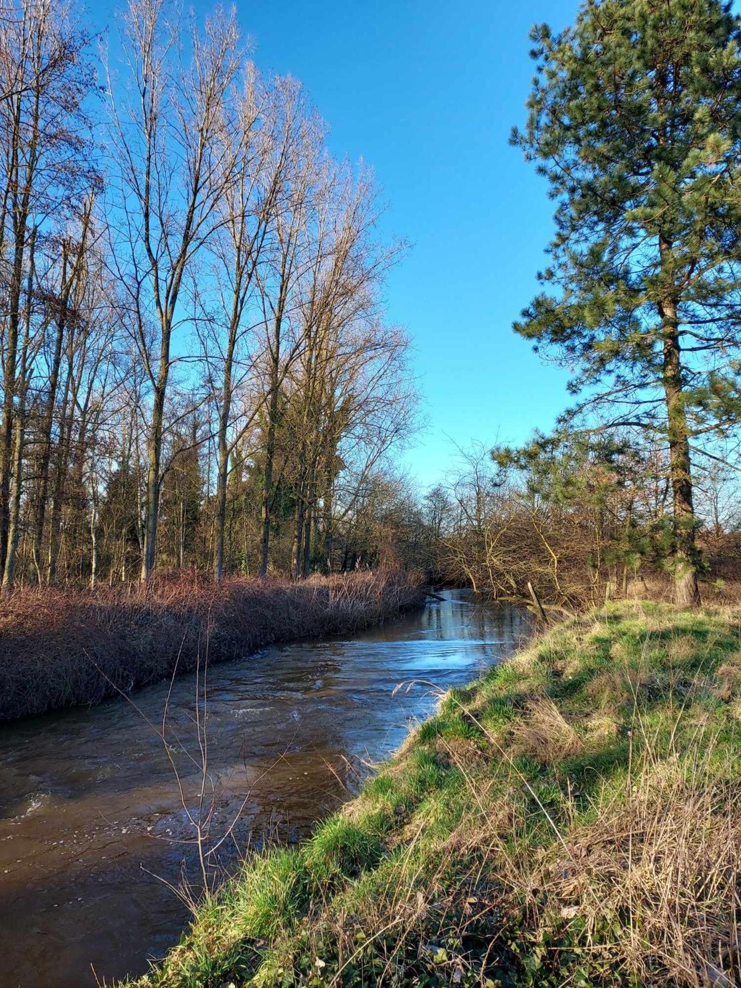 Rustig Gelegen Chalet Kapeki Met Tuin Aan Het Water Geel Zewnętrze zdjęcie
